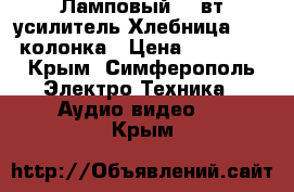 Ламповый 20 вт усилитель“Хлебница AMD“ колонка › Цена ­ 19 000 - Крым, Симферополь Электро-Техника » Аудио-видео   . Крым